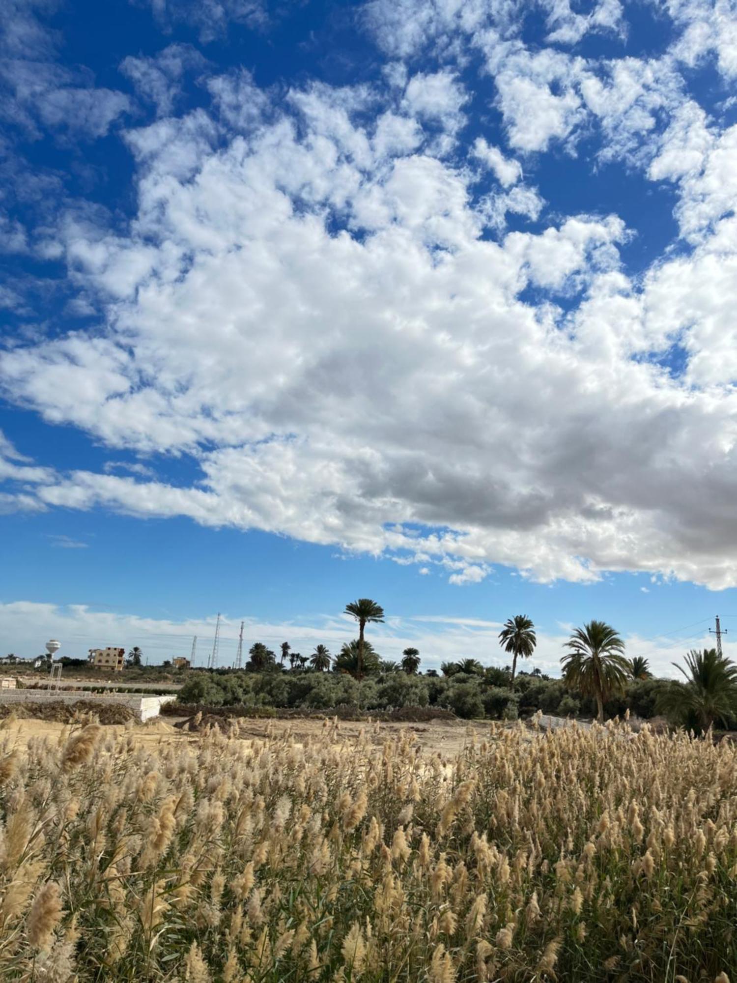 Lake House By Tunisia Green Resort Qaryat at Ta'mir as Siyahiyah المظهر الخارجي الصورة